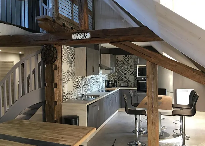 Style Industriel Avec Terrasse *