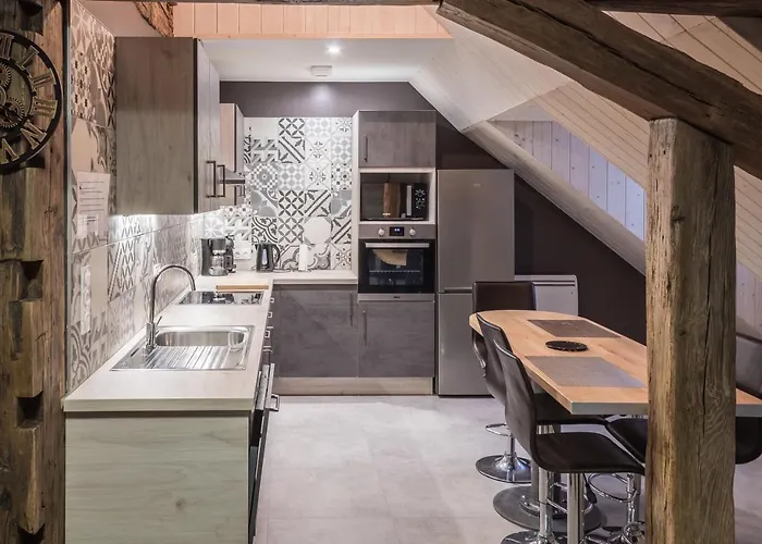 Style Industriel Avec Terrasse *